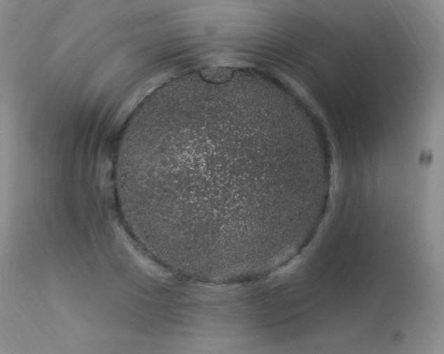X0000114210881200910091321
