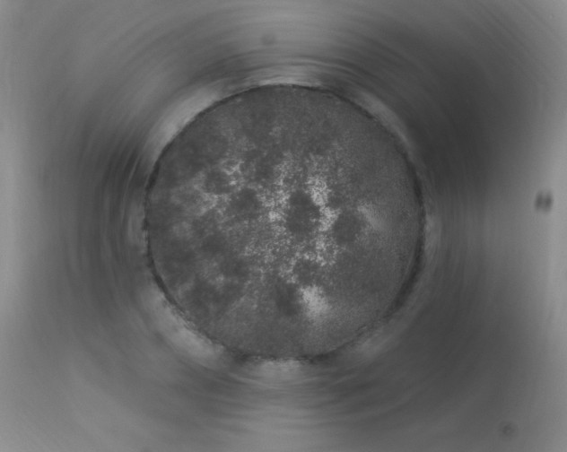 X0000114210882200910091321