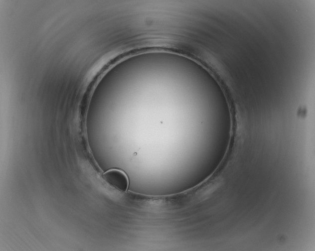 X0000114210883200910091321