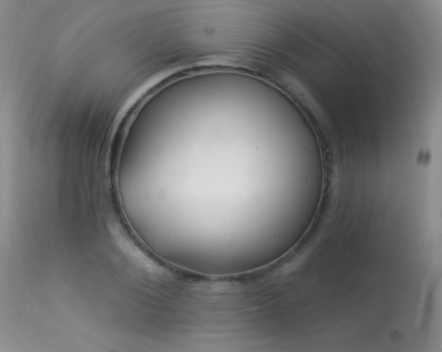 X0000114210884200910091321