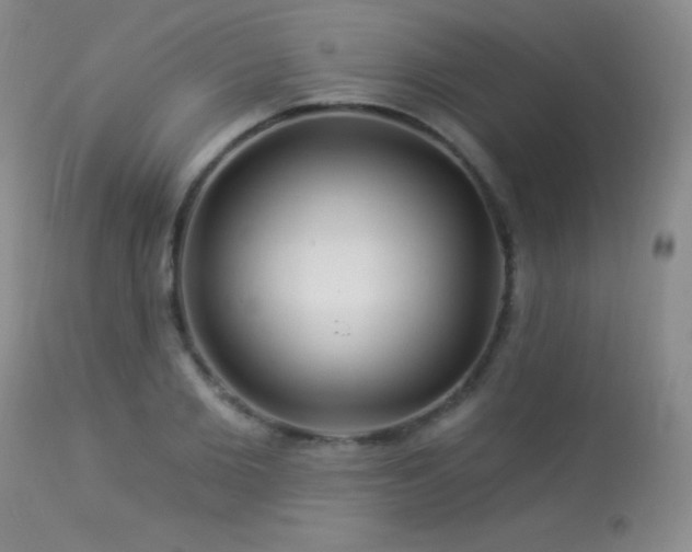 X0000114210885200910091321
