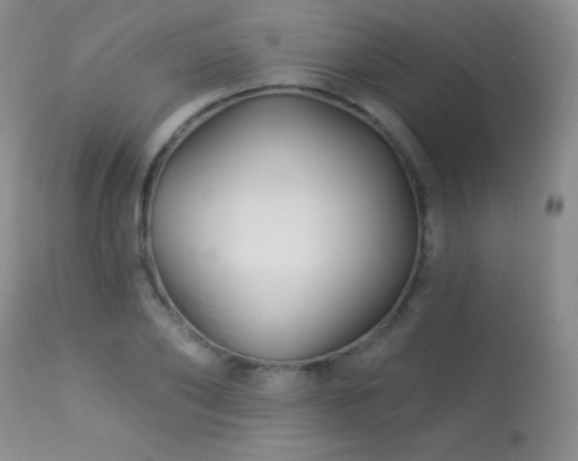X0000114210886200910091321