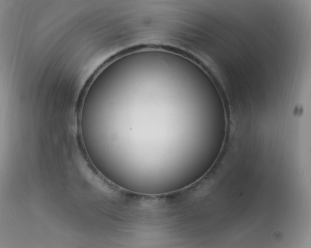 X0000114210887200910091321