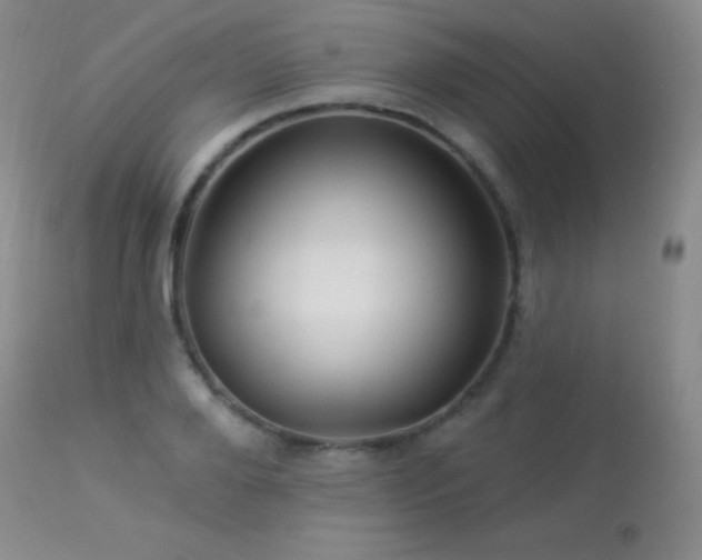 X0000114210888200910091321