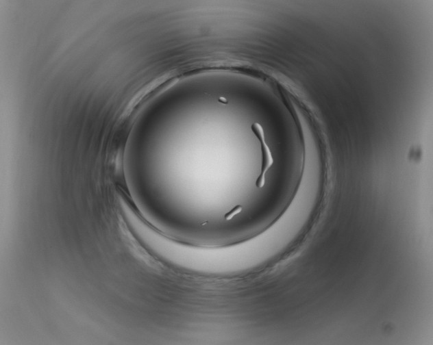 X0000114210889200910091321