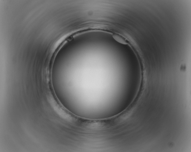 X0000114210891200910091321