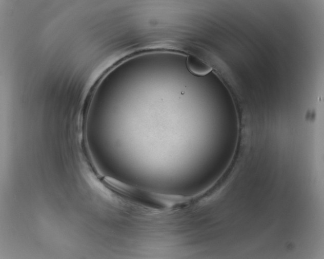 X0000114210892200910091321