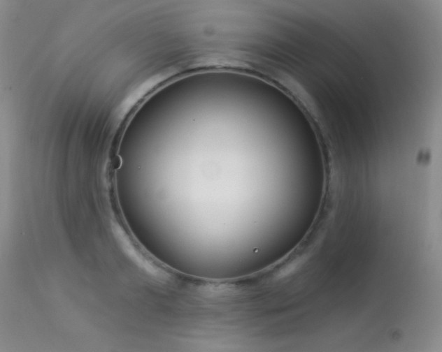 X0000114210893200910091321