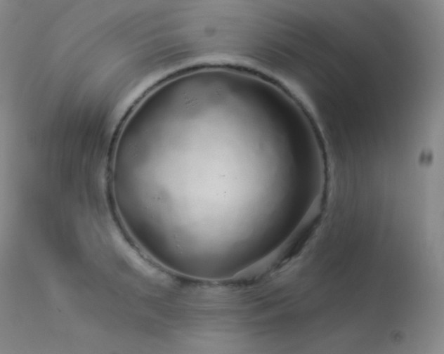 X0000114210895200910091321