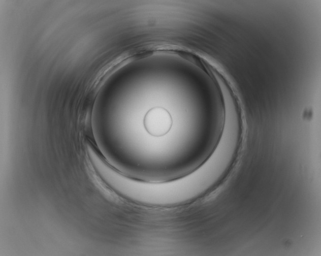 X0000114210897200910091321