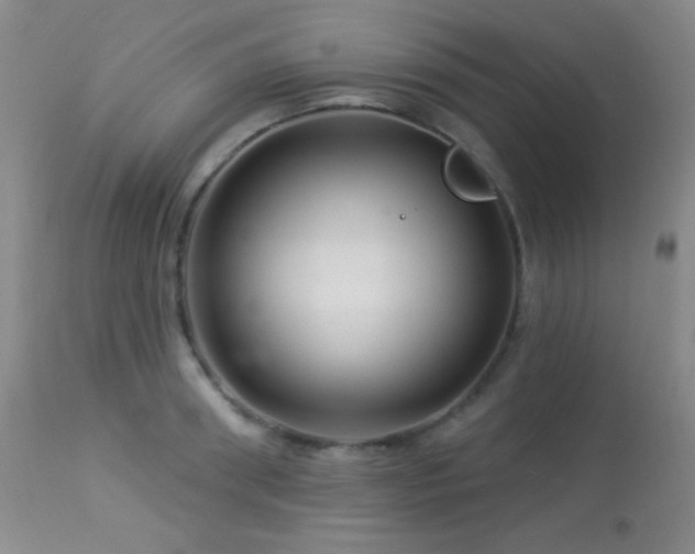 X0000114210898200910091321