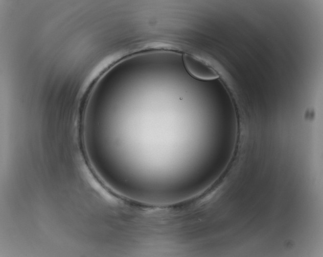 X0000114210902200910091321