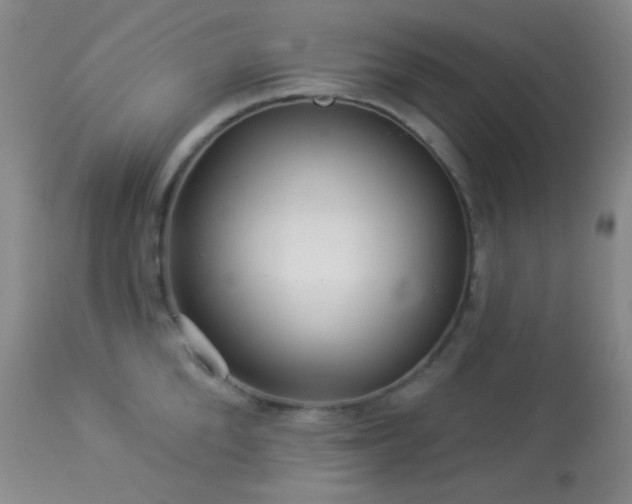 X0000114210904200910091321