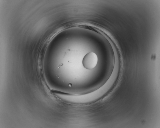 X0000114210905200910091321