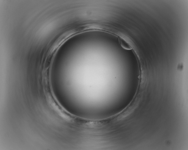 X0000114210906200910091321
