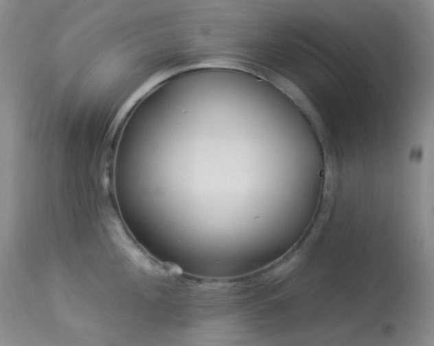 X0000114210908200910091321