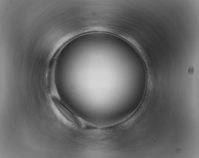 X0000114210910200910091321