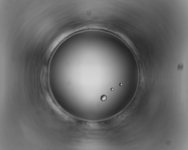 X0000114210911200910091321