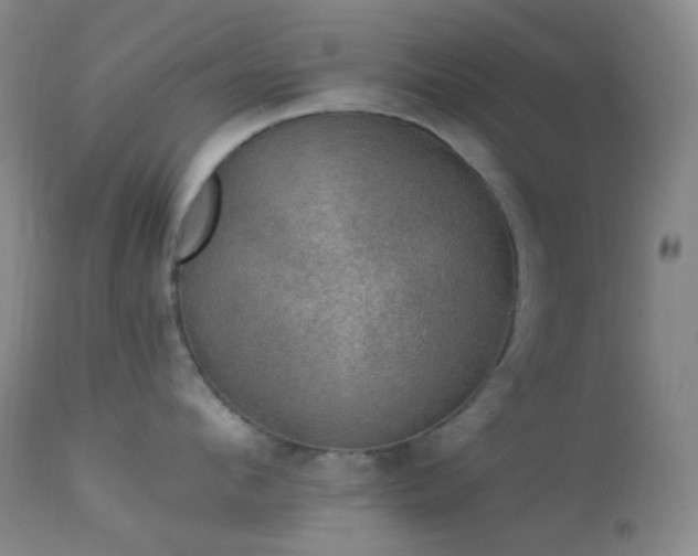 X0000114210912200910091321