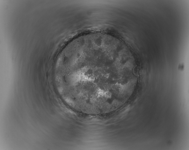 X0000114210913200910091320