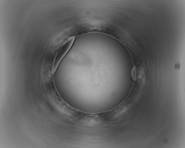 X0000114210916200910091320