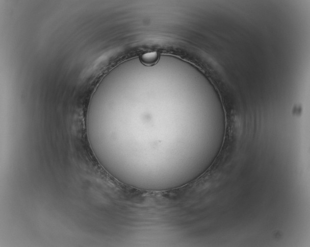 X0000114210918200910091320
