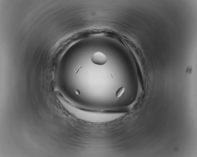 X0000114210920200910091320