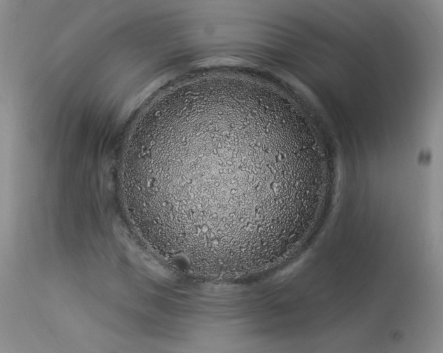 X0000114210921200910091320