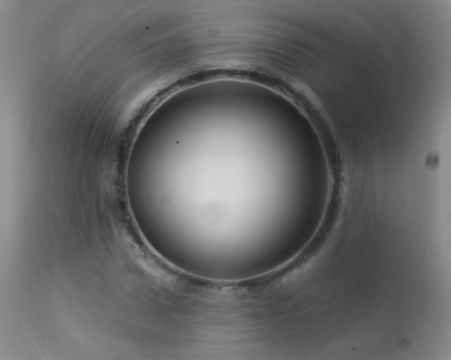 X0000114210922200910091320