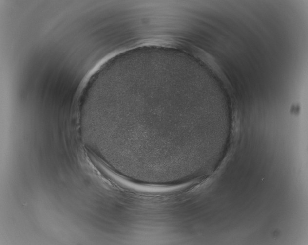 X0000114210923200910091320