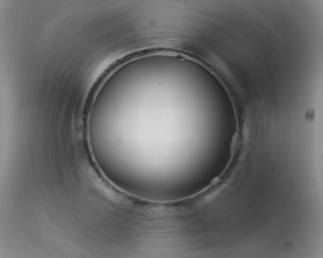 X0000114210924200910091320