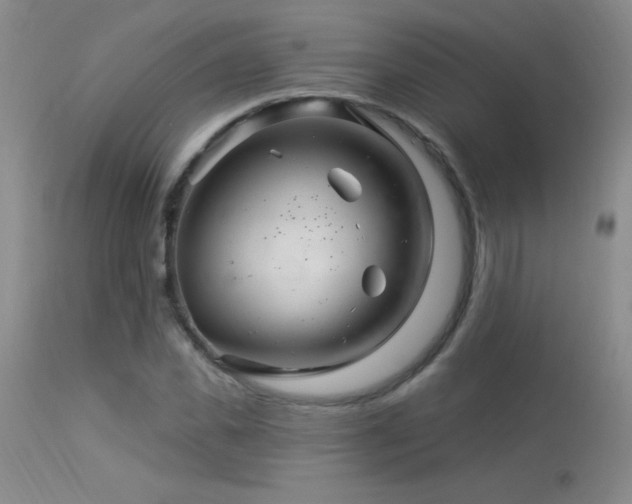 X0000114210925200910091320