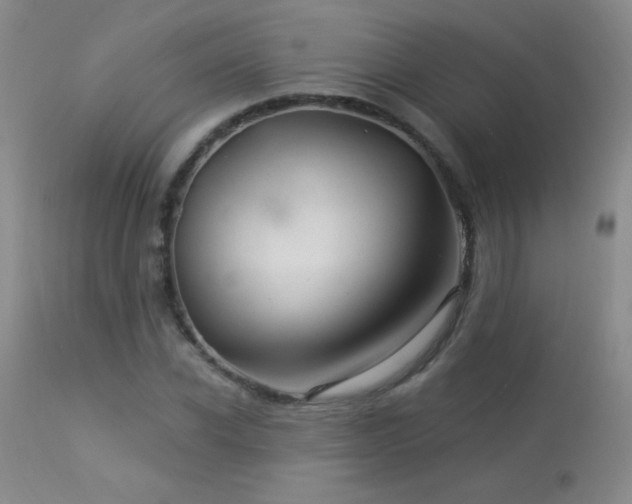 X0000114210926200910091320