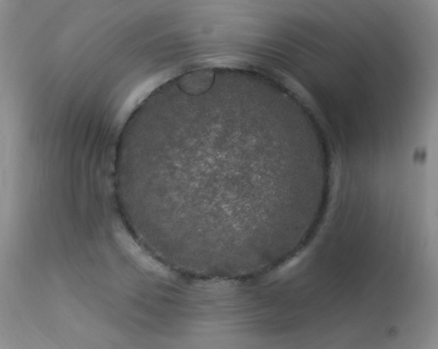 X0000114210930200910091320