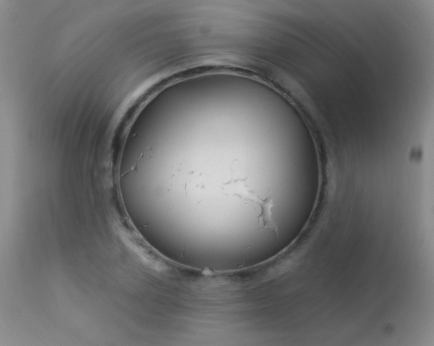 X0000114210931200910091320