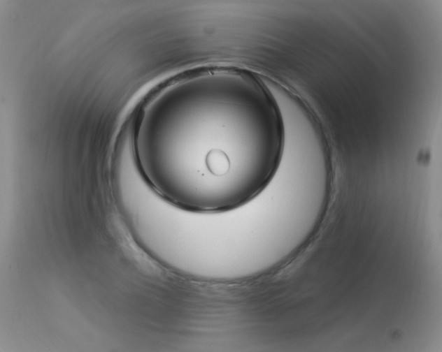 X0000114210932200910091320