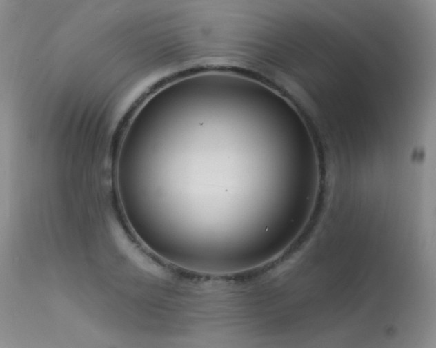 X0000114210934200910091320