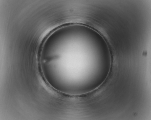 X0000114210936200910091320