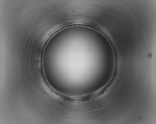 X0000114210938200910091320