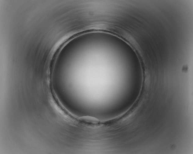 X0000114210939200910091320