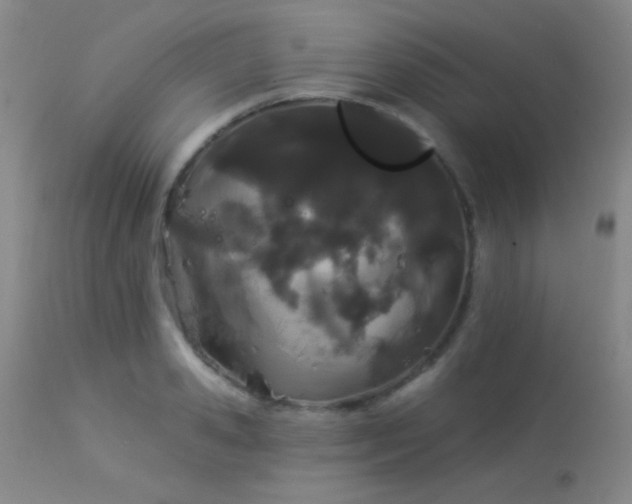 X0000114210941200910091320