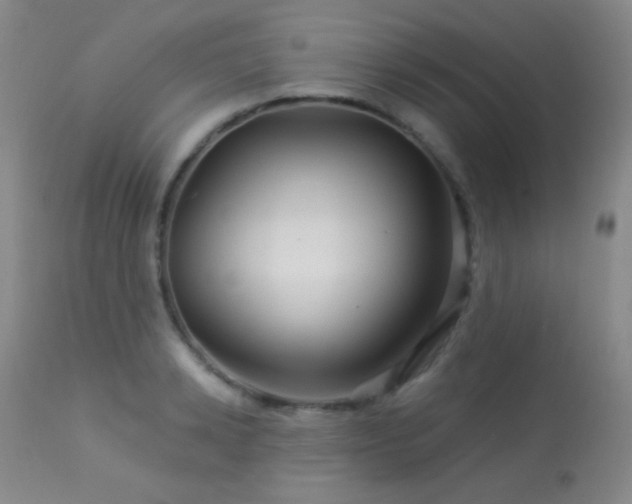 X0000114210942200910091320