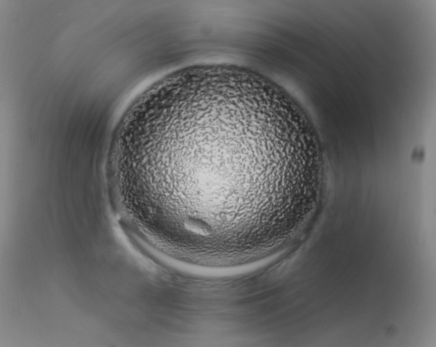 X0000114210943200910091320