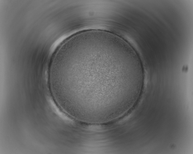 X0000114210944200910091320