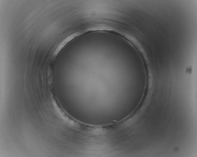 X0000114210945200910091320