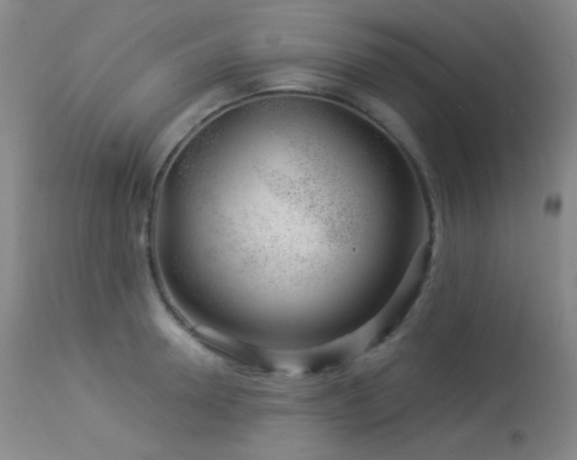 X0000114210946200910091320