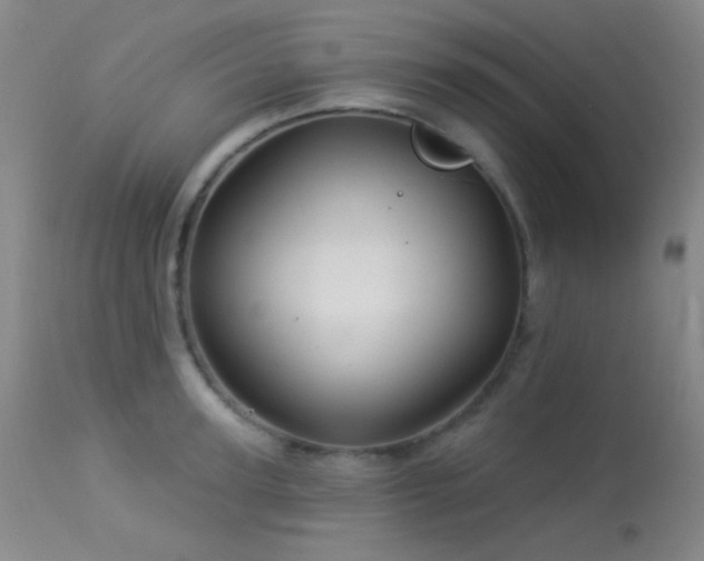 X0000114210947200910091320