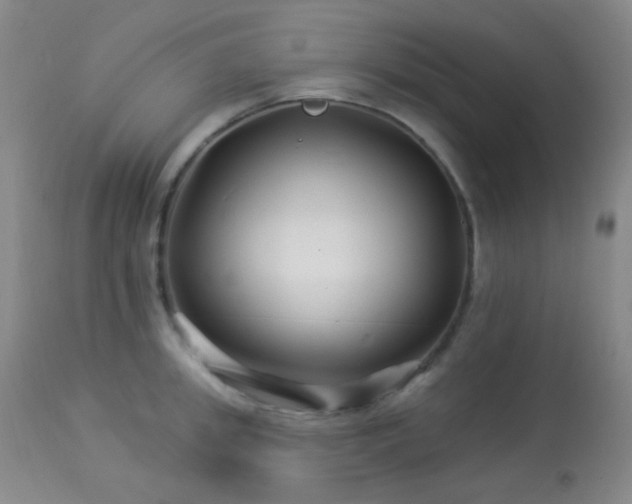 X0000114210949200910091320