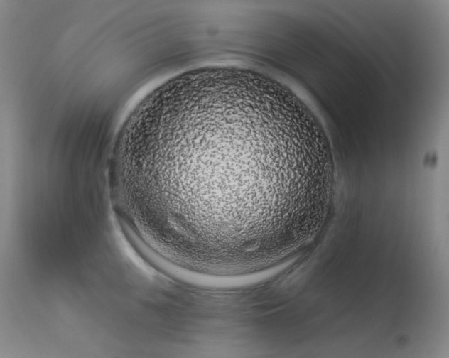 X0000114210951200910091320