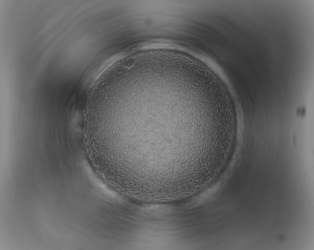 X0000114210953200910091320